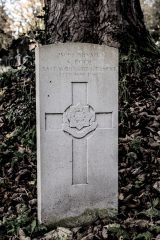 PRIVATE SAM POOL, EAST YORKSHIRE REGIMENT, 14th MAY 1919