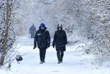 Dog walkers out in the snow in Honley, Holmfirth.